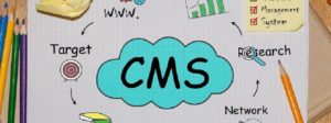 CMS導入